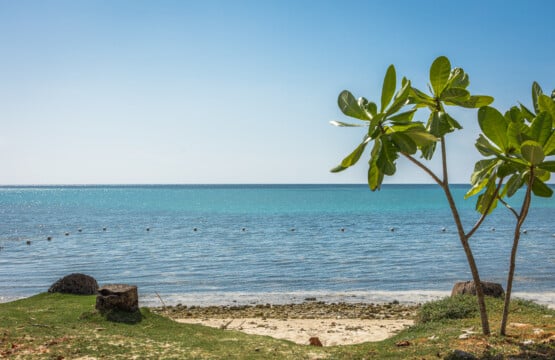 Mard Beach House 33